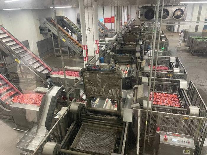 食安山东考察团走进双汇德州工厂 以透明生产见证猪肉品质信赖