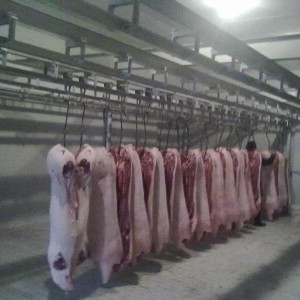 猪肉冷库