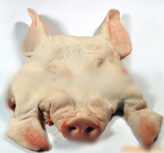 中国工厂网 食品饮料工厂网 肉类 猪肉 甘肃批发商冷冻猪头厂家批发
